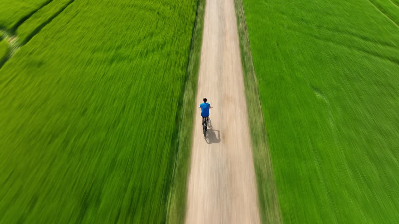 자전거를 타는 남자는 여름에 푸른 초원을 따라 달린다 - 모션 블러 효과