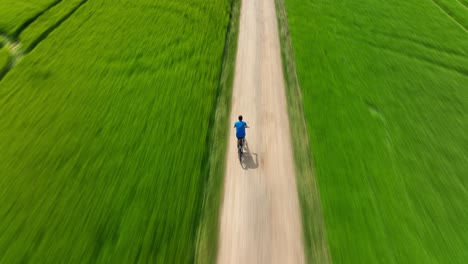 a man riding a bicycle rides along a green meadow in summer time - with a motion blur effect