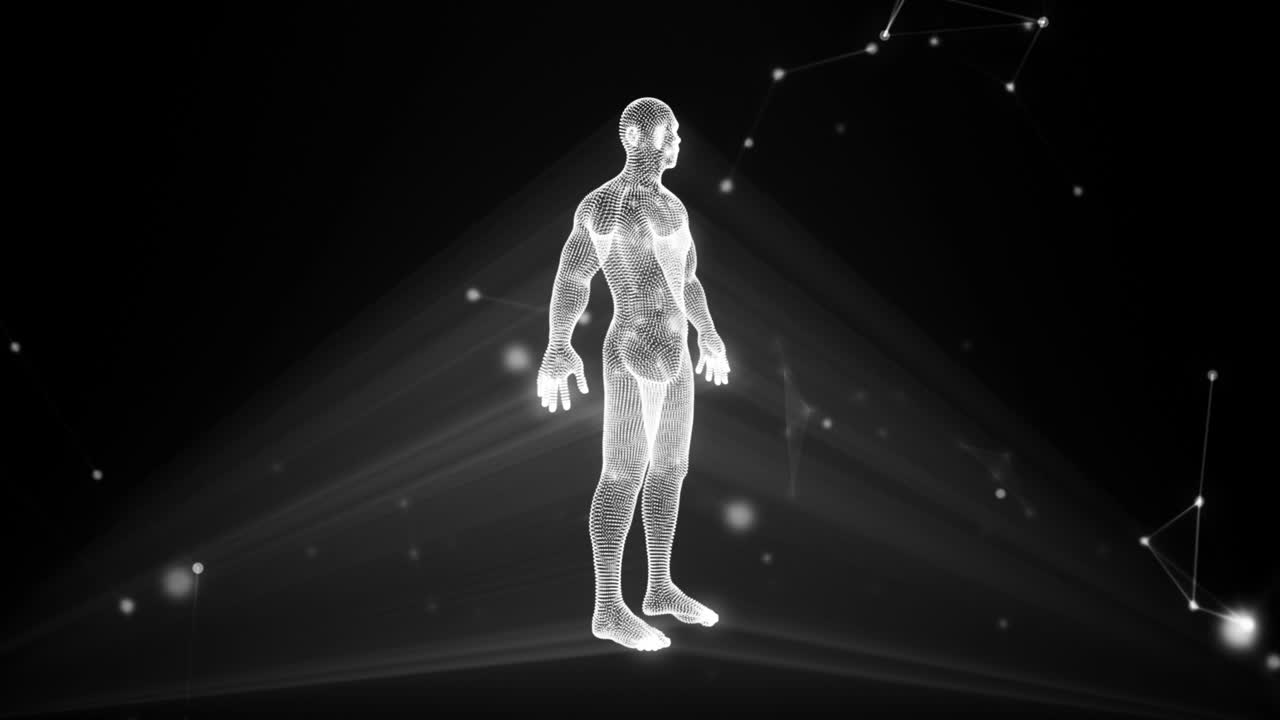 3D Wireframe Human Figure