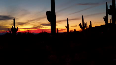 Pfanne-Des-Sonora-Wüstensonnenuntergangs-In-Arizona-Mit-Der-Silhouette-Von-Saguaro-Kakteen