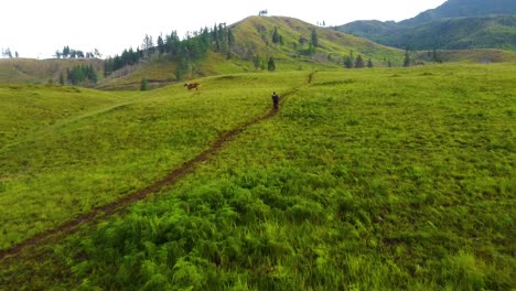 Una-Persona-Corriendo-Hacia-La-Montaña