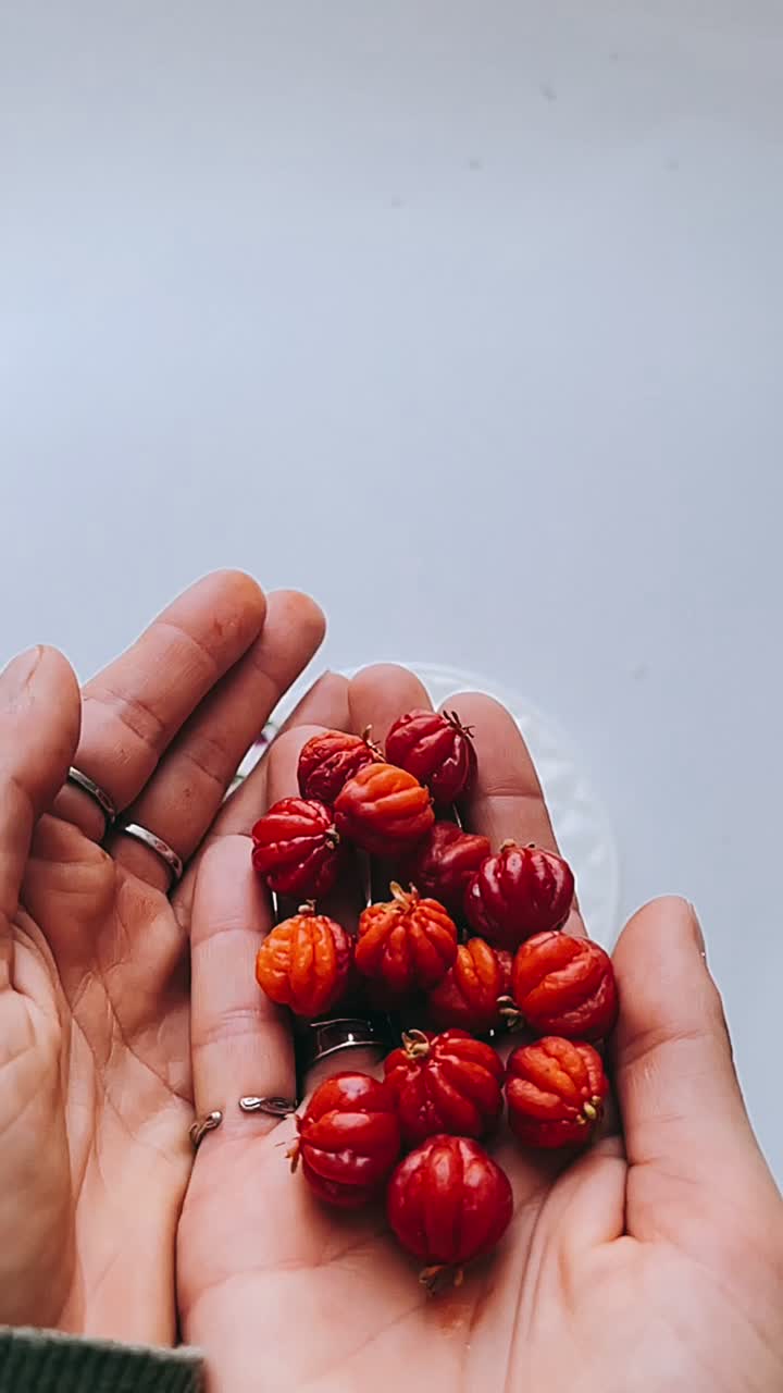 Small Red Berries Held in Hands