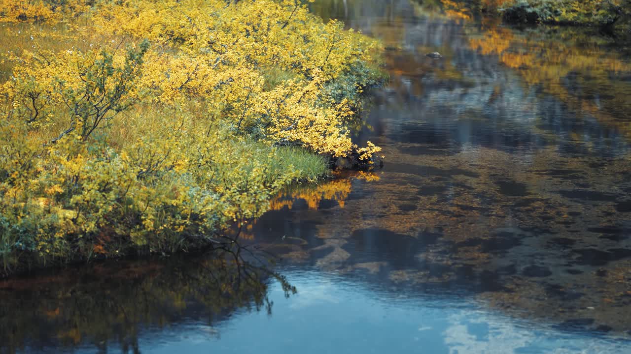 A colorful autumn vegetation on the bank of the shallow river with clear transparent waters