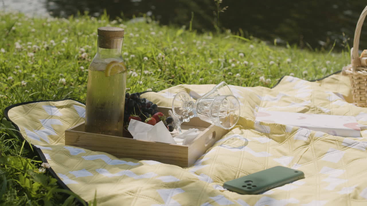 Picnic on the grass with drinks and fruits
