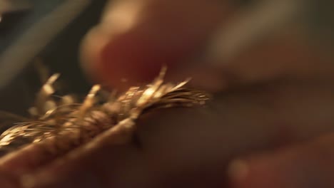 close-up of shaving