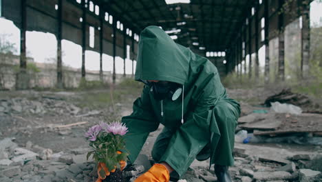 human in protective uniform planting flowers in dangerous city. man in safety suit and goggles.