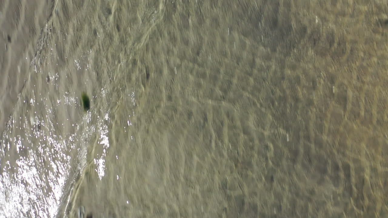 una toma de arriba hacia abajo sobre las aguas de una playa durante un día soleado