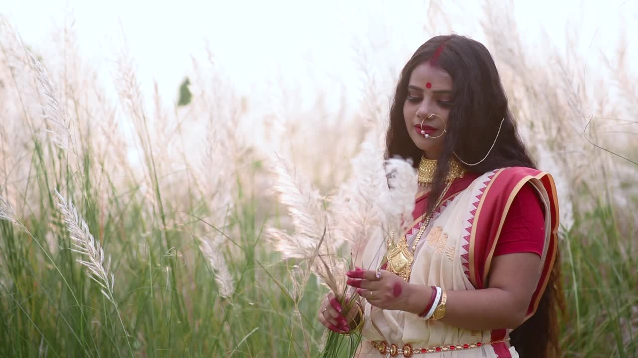 una feliz y hermosa mujer india bengalí juega con la larga hierba blanca kaash phool en un campo usando sari al atardecer o al amanecer, saccharum spontaneum en cámara lenta