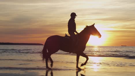 silhouette of rider on horse at beach in sunset light.