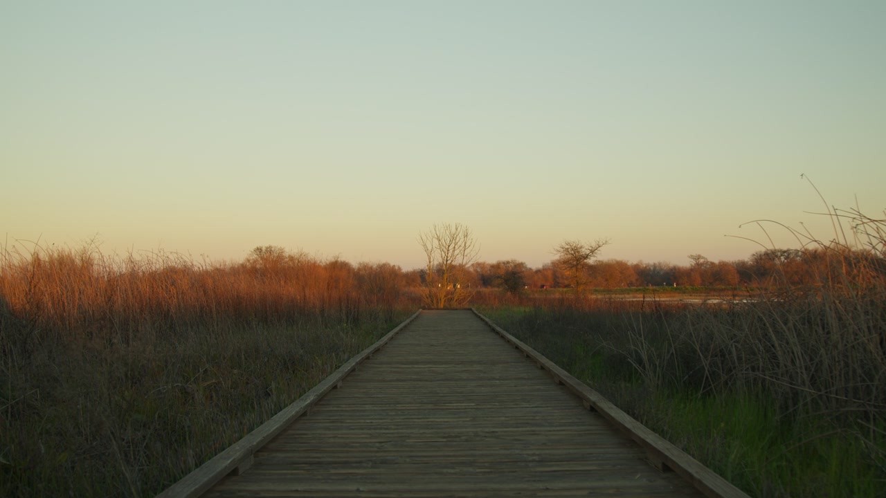 A slow vertical panning shot (tilt up) starting from a rustic wooden boardwalk leading into a serene marshland.