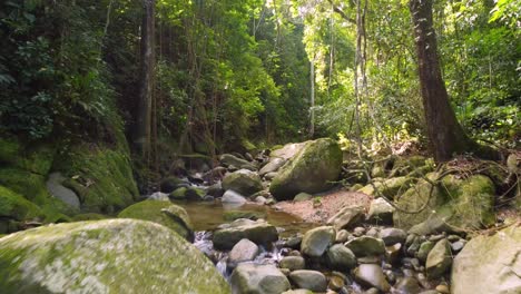 Crossing-nature-on-rocky-stream-amidst-vegetation-and-sunrays-in-Minca,-Colombia