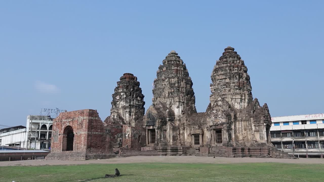 mono vagabundo en libertad en lopburi, tailandia