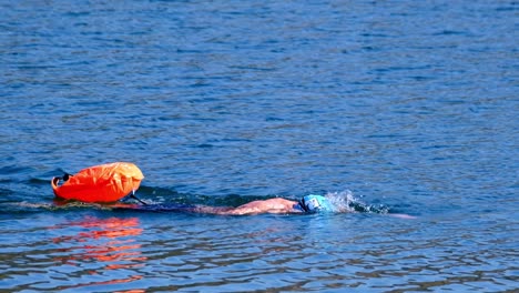 Professional-swimmer-swimming-in-the-clear-and-clean-waters-of-a-lake-under-a-bright-summer-day,-slow-motion-video