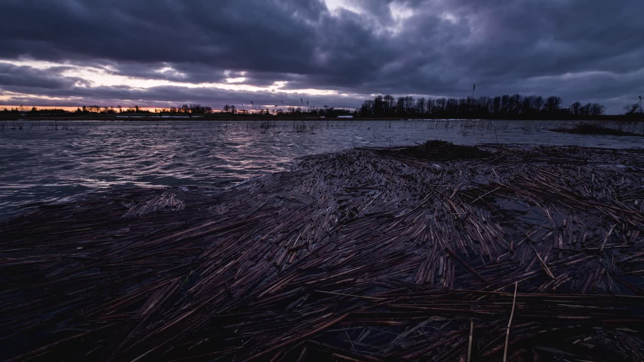 Time-lapse af oversvømmet forårsflod, strå flydende i den og dramatisk solnedgangshimmel.