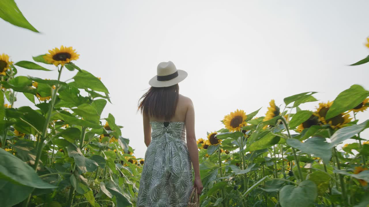 vista trasera de una mujer con sombrero