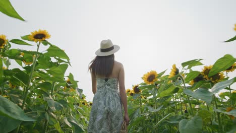 rear view of a woman in hat