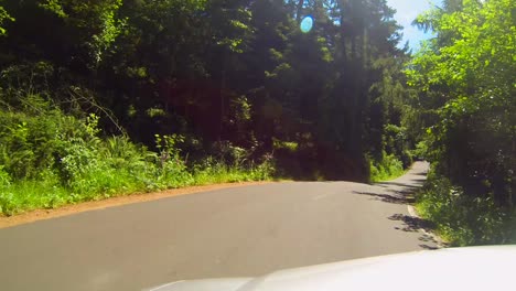 Conduciendo-Por-La-Carretera-Y-A-Través-De-Los-árboles-Cerca-Del-Parque-Estatal-Ecola-Y-Cannon-Beach-A-Lo-Largo-De-La-Costa-De-Oregon