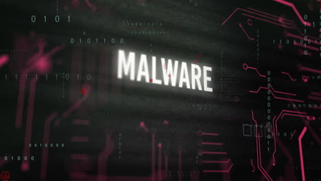 animation of malware text and data processing and computer circuit board on black background