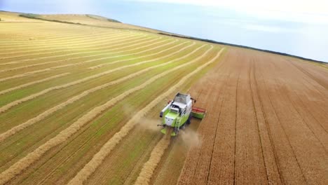 Drone-footage-of-golden-fields-and-combine-harvester