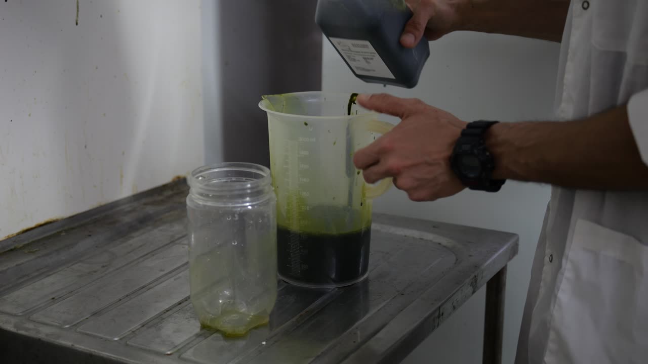 수산 양식 시설을 위해 녹색 해초 물고기 먹이를 준비하는 과학자