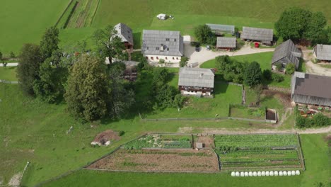 aerial view of alpine valley with rustic farm in front, jezersko, slovenia, european alps, scenic mountain landscape