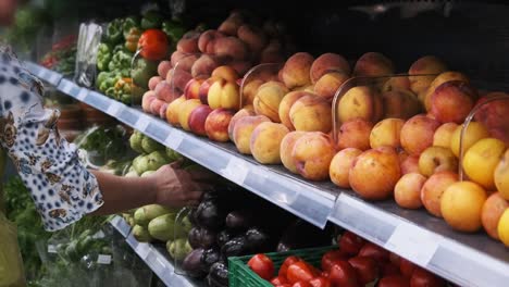 fresh fruits and vegetables on supermarket shelves