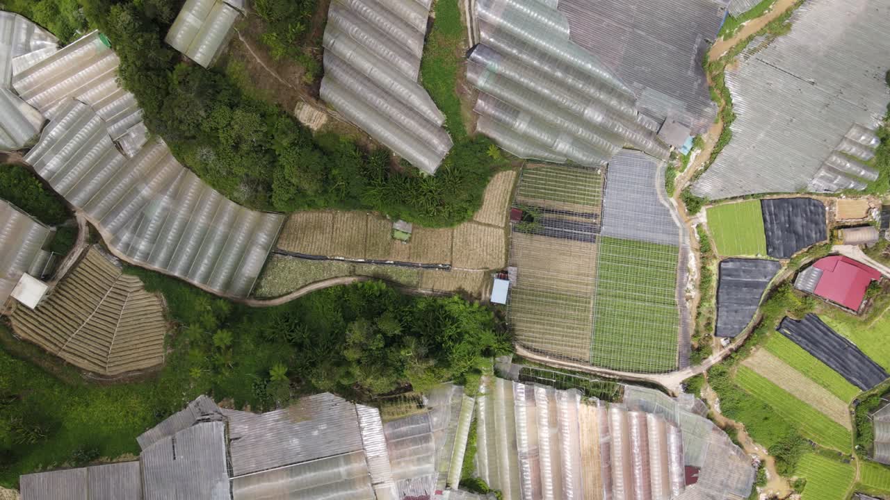 말레이시아의 카메론 하이랜드 지역 내의 브린창 지역의 일반 풍경