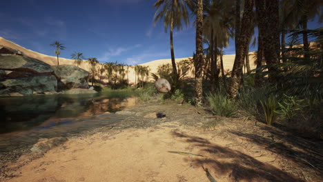 hermoso oasis en el desierto