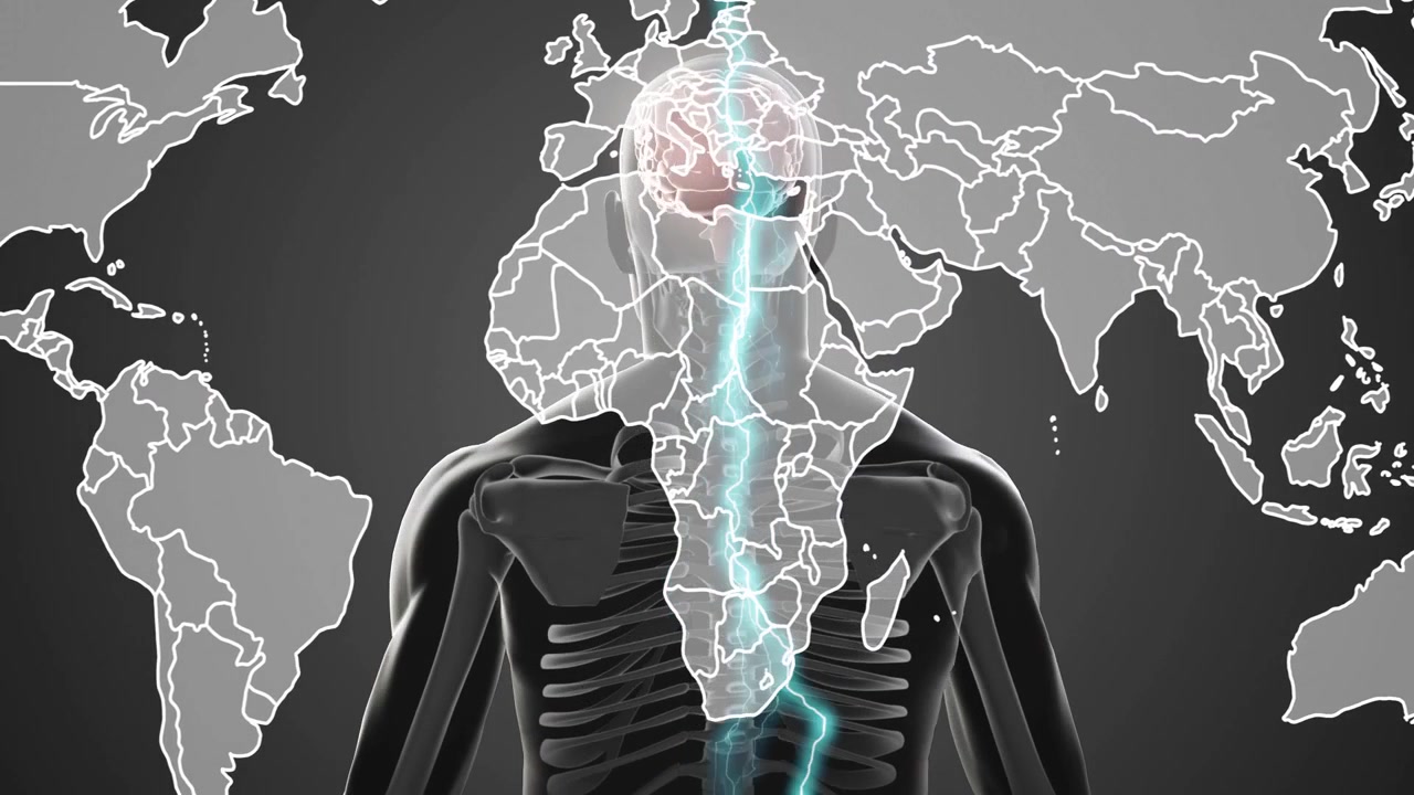 解剖模型が左上から青い弧を受け、世界地図がオーバーレイされ脳が明らかになるように回転している。