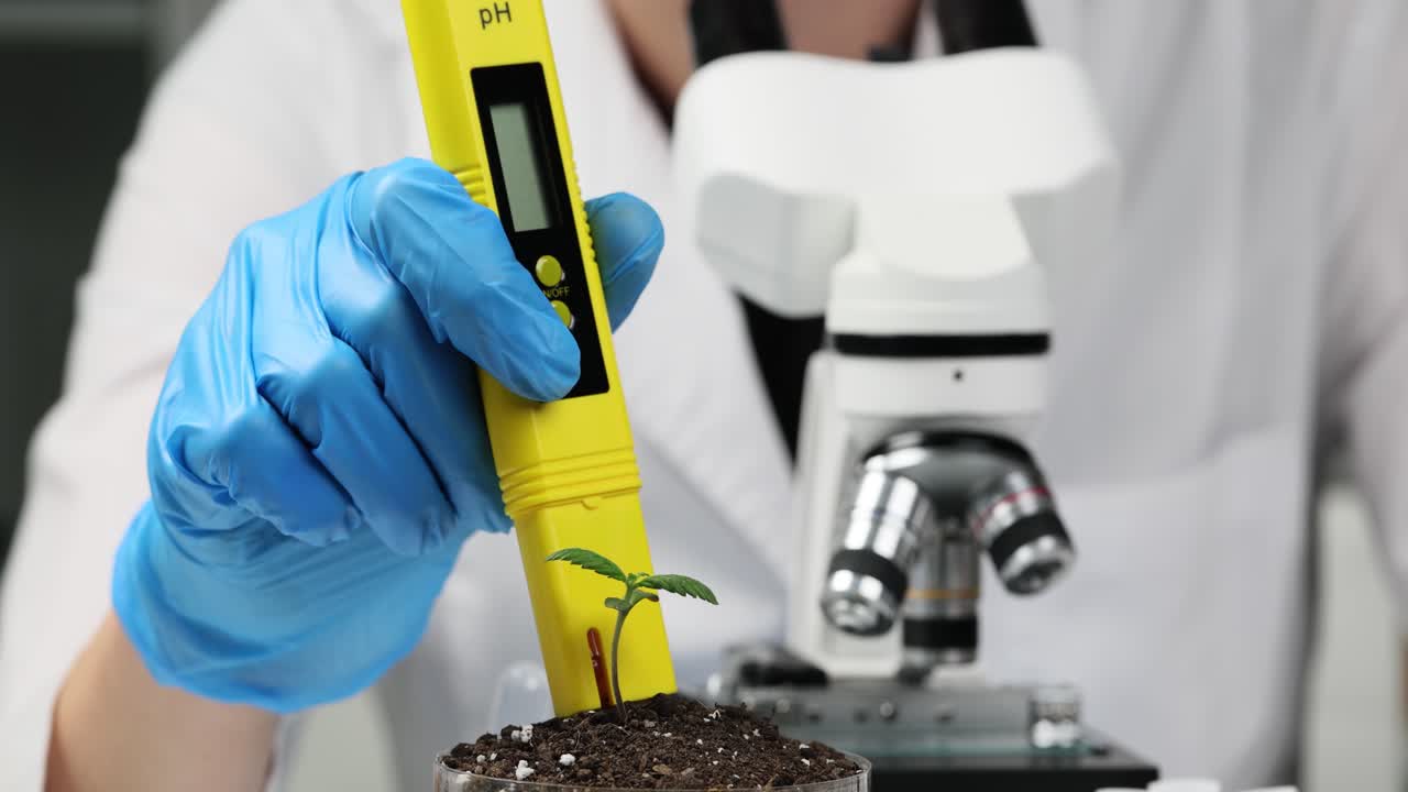 Scientist Examining Plant with pH Meter and Microscope