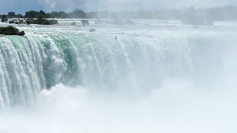 cataratas del niágara con un pájaro volando en la niebla creciente cerca del borde de la cascada, filmado en cámara lenta con la mano
