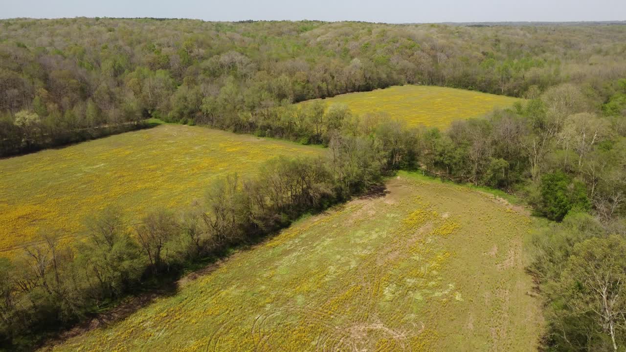 vista aérea de campos deforestados para agronomía