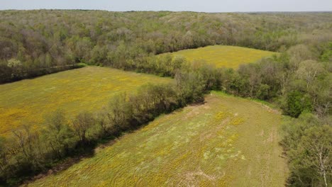 Vista-Aérea-De-Campos-Deforestados-Para-Agronomía