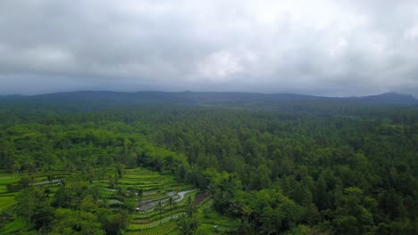 aerial view of tropical plantation and forest on the slope of mountain