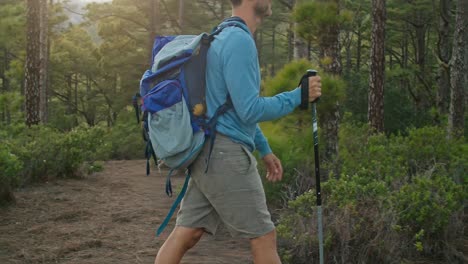 male hiker walking in forest