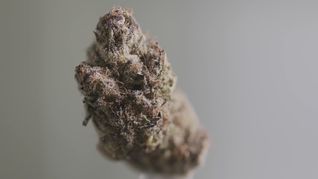 Primo Piano di Gemma di Marijuana