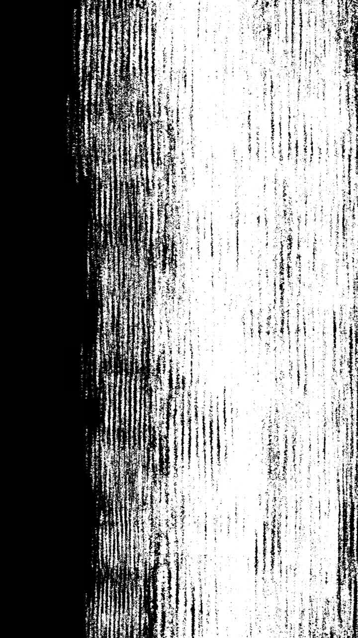 Black and White Grunge Texture Overlay with Vertical Lines