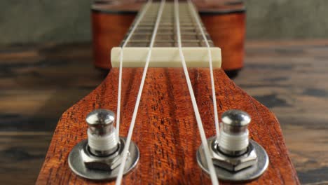 ukulele neck fingerboard close-up.