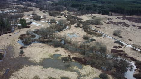 Mäandernder-Fluss-In-Der-Winterlandschaft.-Artenvielfalt.-Drohne