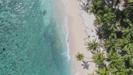 Drone-De-Arriba-Hacia-Abajo-Sobre-Una-Playa-De-Arena-Tropical-Vacía-Con-Agua-Turquesa-Y-Palmeras