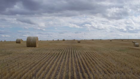 Flying-Over-The-Harvested-Field-With-Round-Hay-Bales-In-Montana