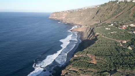 aerial view of banana trees plantation growing at field on a cliff next to the sea in tenerife, canary islands