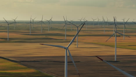 vast wind farm at sunset