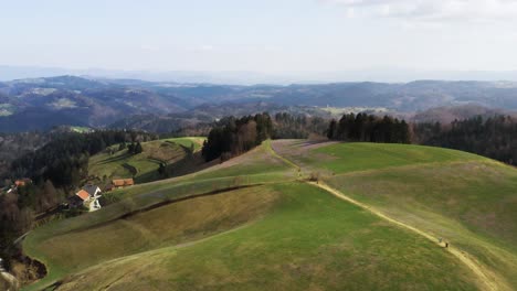 The-landscape-unfolds-with-patterns-of-fields,-trees,-and-paths,-leading-to-a-lush-forested-backdrop