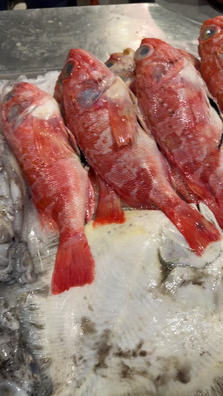 Assortment of Fresh Fish and Squid on Ice at a Market