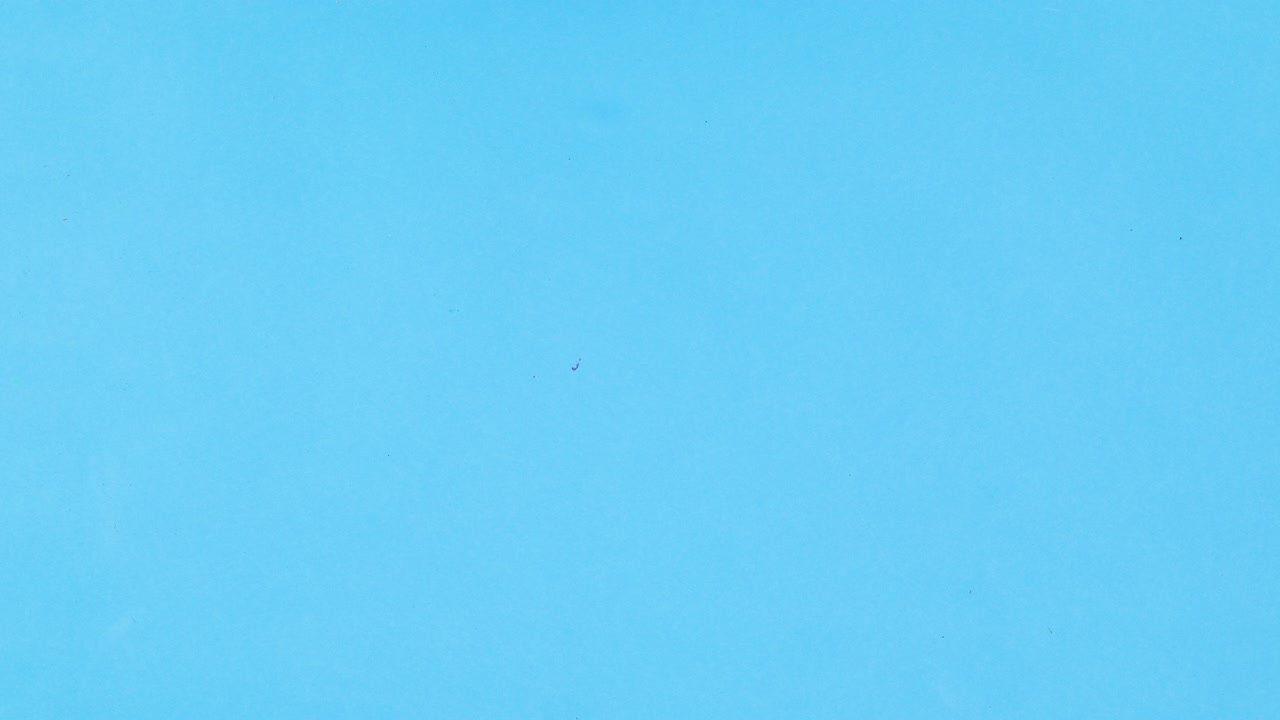 Slices of fresh ripe fruits appear and fill blue theme. Stop motion