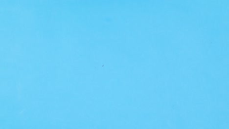 slices of fresh ripe fruits appear and fill blue theme. stop motion