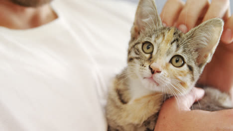 young man stroking his tabby cat at home 4k 4k