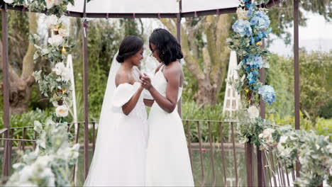 women, wedding and lesbian dancing outdoor