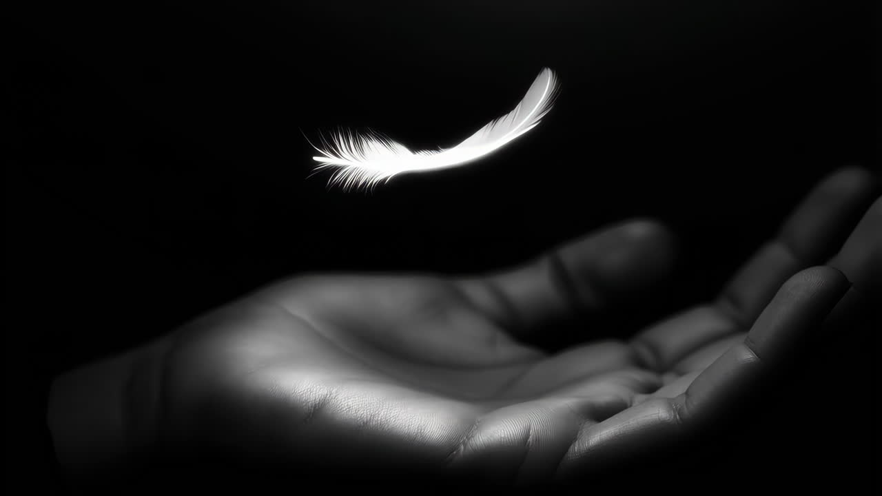 Feather floating above a hand